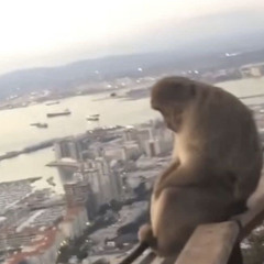 me & jam - train in france (prod.reza)