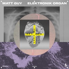 Matt Guy - Elektronik Organ - Truesoul - TRUE12163