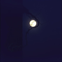 Dark Love
