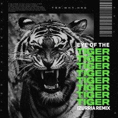 Eye of the Tiger [𝐈𝐙𝐔𝐑𝐑𝐈𝐀 Remix]