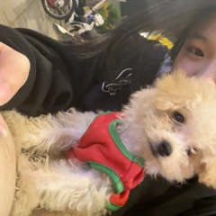 NONSTOP 2025 DJ THÁI HOÀNG REMIX - NHẠC REMIX TIKTOK HAY NHẤT 2025 - FULL TRACK THÁI HOÀNG REMIX - D