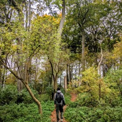 Hot Rod (don't tell tom garage edit) [FREE DL]