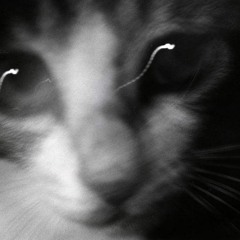 С Утра Я Тебя Дожидался