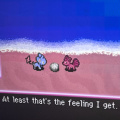 this noon sure seems NUTTY