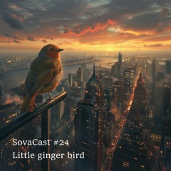 Sovacast #24  (Little Ginger Bird)