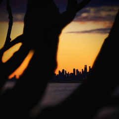 Malevolence Found (Early Release Unmastered)