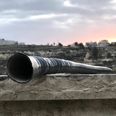 Chant de Guerre et de Victoire - Journal intime en temps de guerre part 6