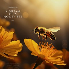 Dream Of A Honey Bee