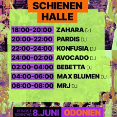 Max Blumen @ Wir Schwestern microFestival | Odonien Pfingstsonntag 08.06.2025
