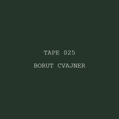 Tape 025 - Borut Cvajner