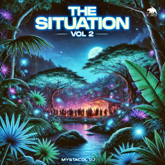 The Situation Vol 2