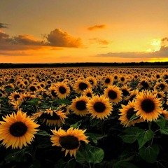 YOUR PERSONAL ESCAPE