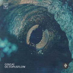 Gingaí • Octopus Flow