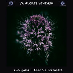 18. Eno Gana - Cleome Serrulata (272 BPM) VA Flores Venenum - Metacortex Records