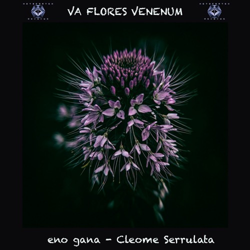 18. Eno Gana - Cleome Serrulata (272 BPM) VA Flores Venenum - Metacortex Records