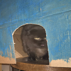 best dnb track ive made till this day (WIP)