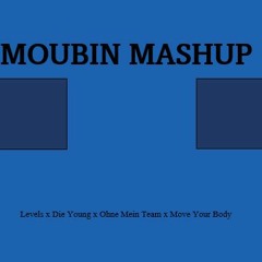 Levels x Die Young x Ohne Mein Team x Move Your Body (Moubin Mashup)