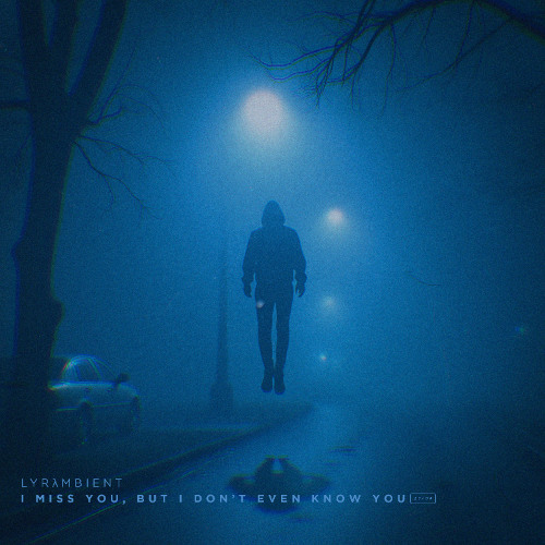 i miss you, but i don't even know you