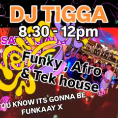 Golden lion Gig 12.9.25 Part 1 - Jazzy, Funky house, Garage & Afro