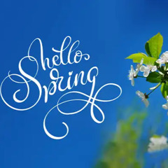 04.03.2025 first day