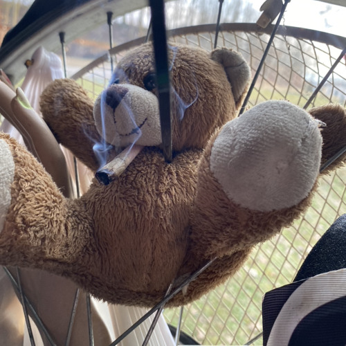 Josh‘n in da mix for HBK