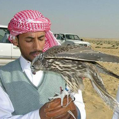 قولوا له إني مارتضي بالبدل فيه.