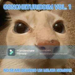 CONCHETURIDDIM MIX VOL. 1