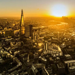 ZOOM0046 Dolphin Badger - Now You Know