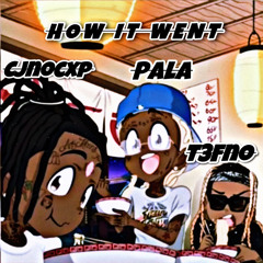 How it went  (Feat: Cjnocxp & Pala)