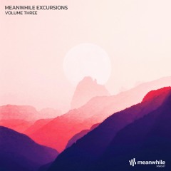 MW047 - V/A - Meanwhile Excursions Volume 3