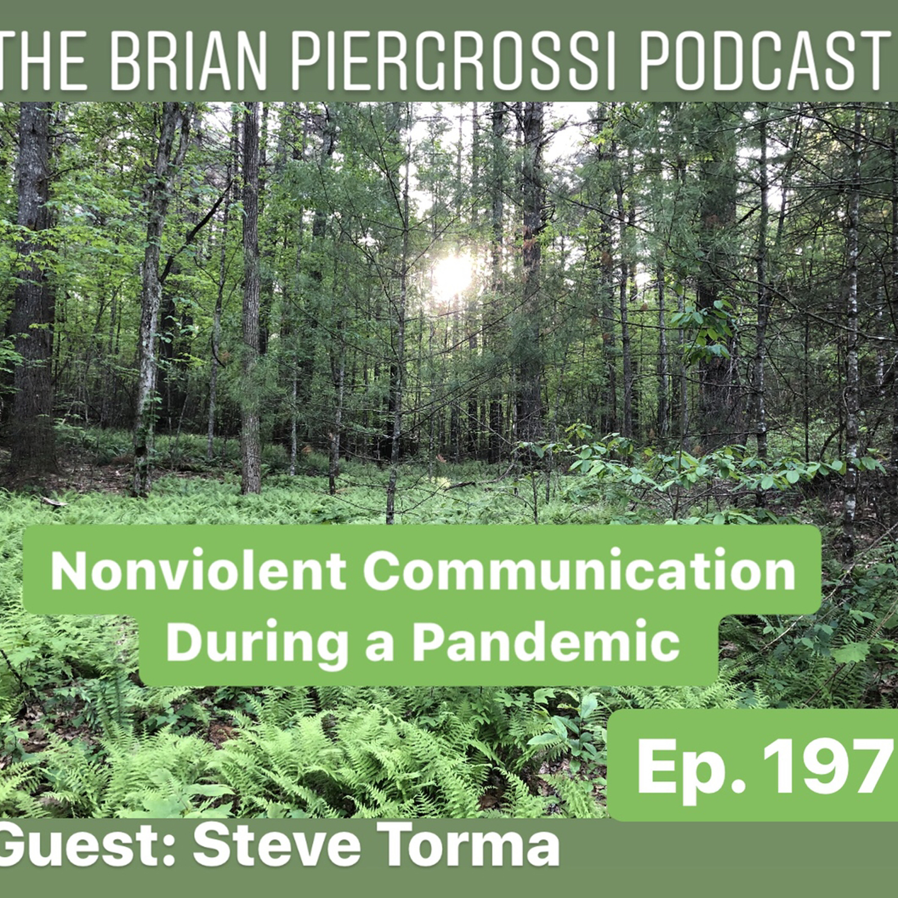 The Brian Piergrossi Podcast