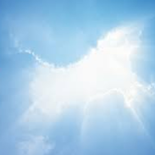 Cisco DJ Set -  Hibernation