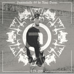 HAMMAHALLE 99 by NAUJ BOOST