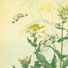 flutter. [with b.wub]