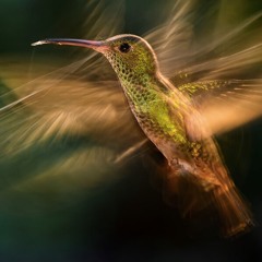 so.pa.de.re.te.ra.shi.