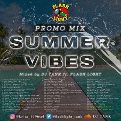 Summer Vibes Promo Mix -No Mic-