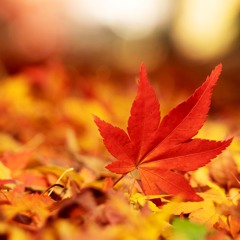 Uplifting Trance Mix - October 2024