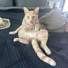 #WOKEAGENDA #NAJMA .𖥔 ݁ ˖🦢˚. ᵎᵎ