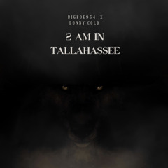 Bigfoe954 x 2am in Tallahassee feat. Donny cold .m4a