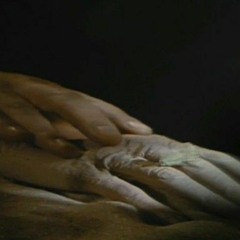 بين زهرِ الصَّمت والوهنِ