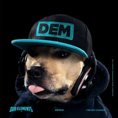 Dub Elements - I Never Change (DEM016)