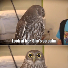 lord of speed @ helloween party