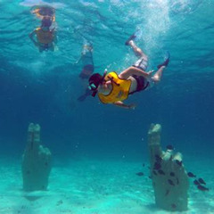 Best Place To Snorkel In Cancun Mexico Prices Reviews