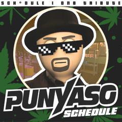 PUNYASO - SCHEDULE (Schedule I Drum And Bass Tribute)