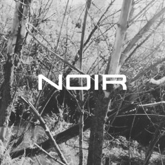 NOIR (trip Rock x trip hop type Beat INSTRUMENTAL)