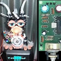 Furby Says