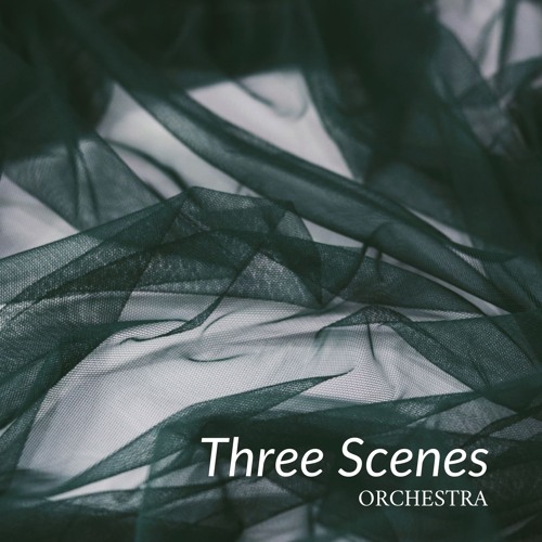 Three Scenes (reading session) - for orchestra