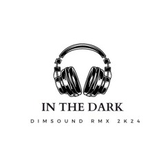 In The Dark ( DimSound Redit ) 2k24