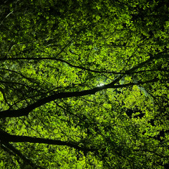 Worry Bout That (prod.kenzee)