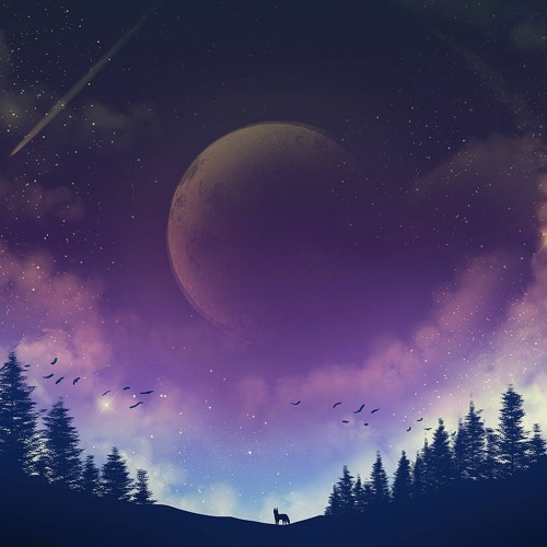 Di Paradox - Nightly Situations